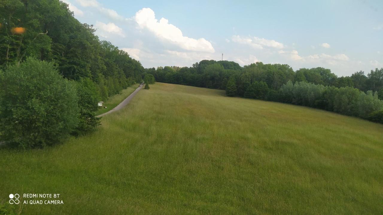 & Am Norderteich Horn-Bad Meinberg