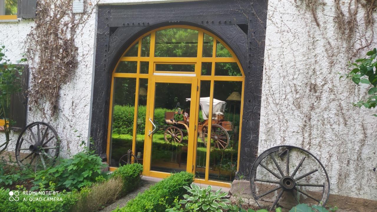 & Am Norderteich Hotel Horn-Bad Meinberg
